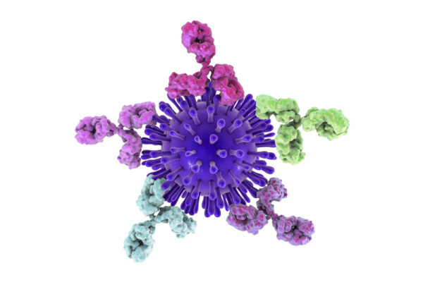 Mouse Anti Coxsackievirus B3 Antibody (PV25)