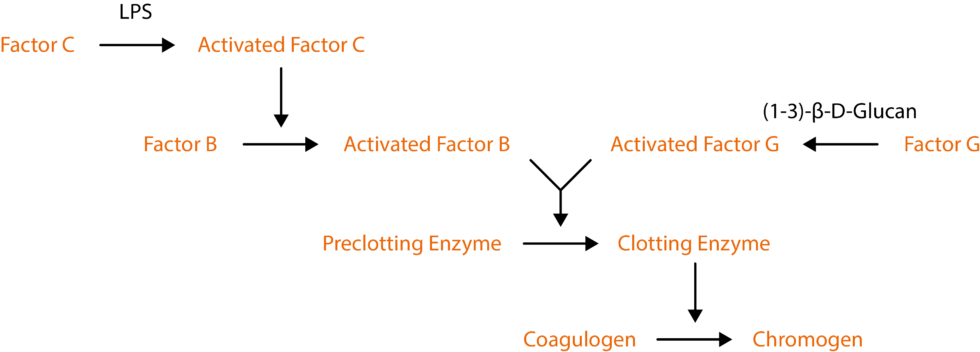 Endotoxin Testing Services - The Native Antigen Company