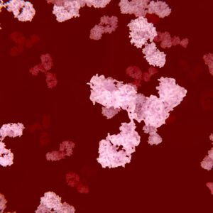 Mouse Anti Canine Parvovirus 2 Antibody (2A10)
