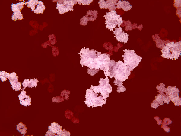 Mouse Anti Canine Parvovirus 2 Antibody (2A10)