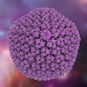 Icosahedral Adenovirus Capsid