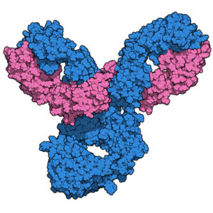Mouse Anti Dengue Virus Serotype 1-3 Membrane Protein (AC6)