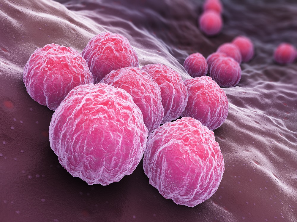 chlamydia-trachomatis-antigen-the-native-antigen-company