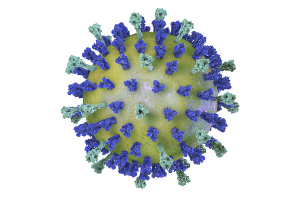 Respiratory Syncytial Virus A Glycoprotein G, Mouse Fc-tag