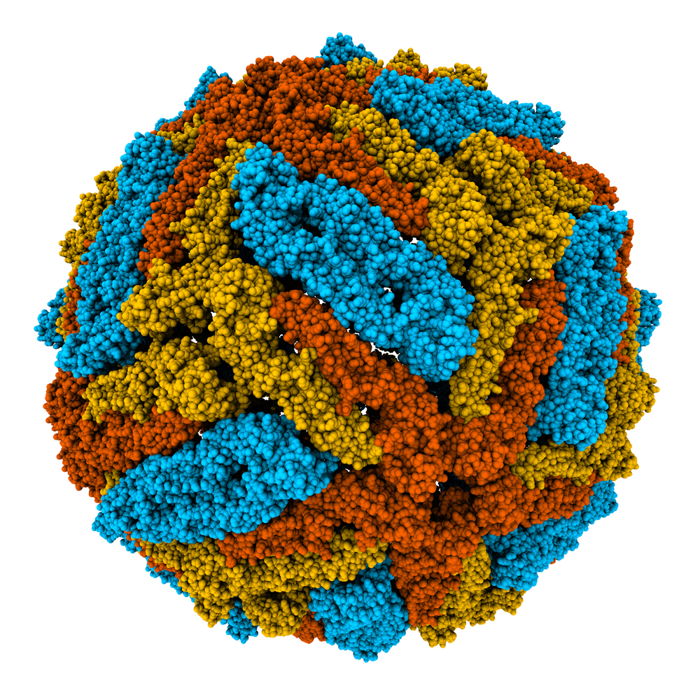 west-nile-virus-lysate-the-native-antigen-company