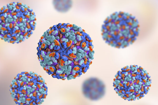 Ross River Virus Recombinant Antigen - The Native Antigen Company