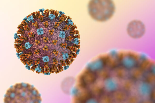 Measles Virus Nucleoprotein (HEK293)