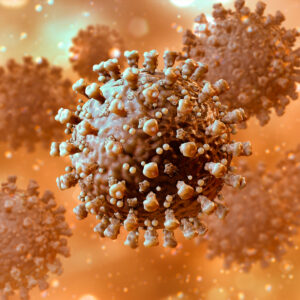 Parainfluenza Virus Type 1 Metapneumovirus 27 Type A2