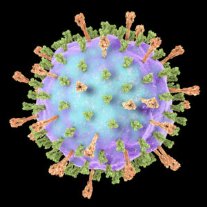 Mumps Virus Nucleoprotein (L-Zagreb)