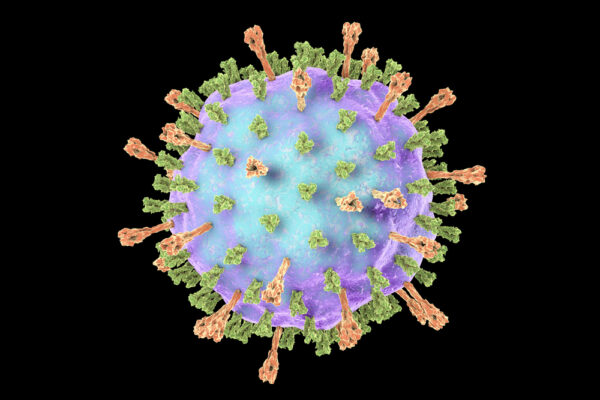 Mumps Virus Nucleoprotein (L-Zagreb)