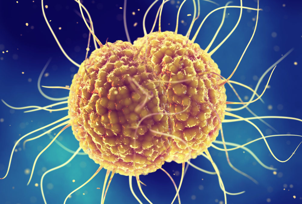 Gonorrhea: What’s Currently in the Clinical Pipeline?