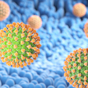 Metapneumovirus 5 Type B1