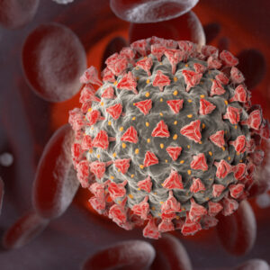 Human coronavirus 229E nucleoprote