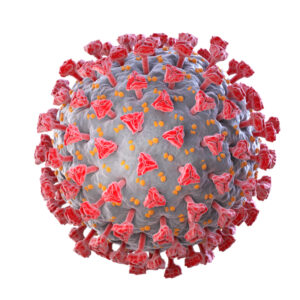 Human coronavirus HKU1 nucleoprotein