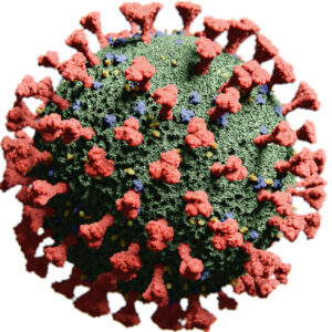 Coronavirus HKU1 Spike (Full-Length) Influenza B/Washington/02/2019 Hemagglutinin