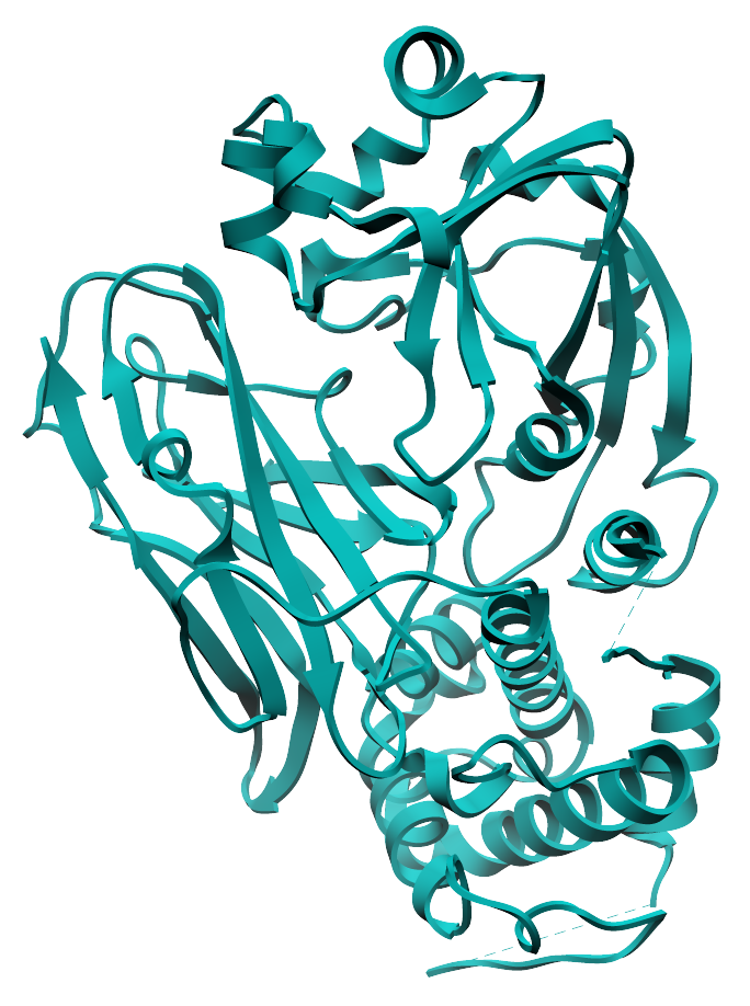 3D Crystal Structure of Diphtheria Toxin