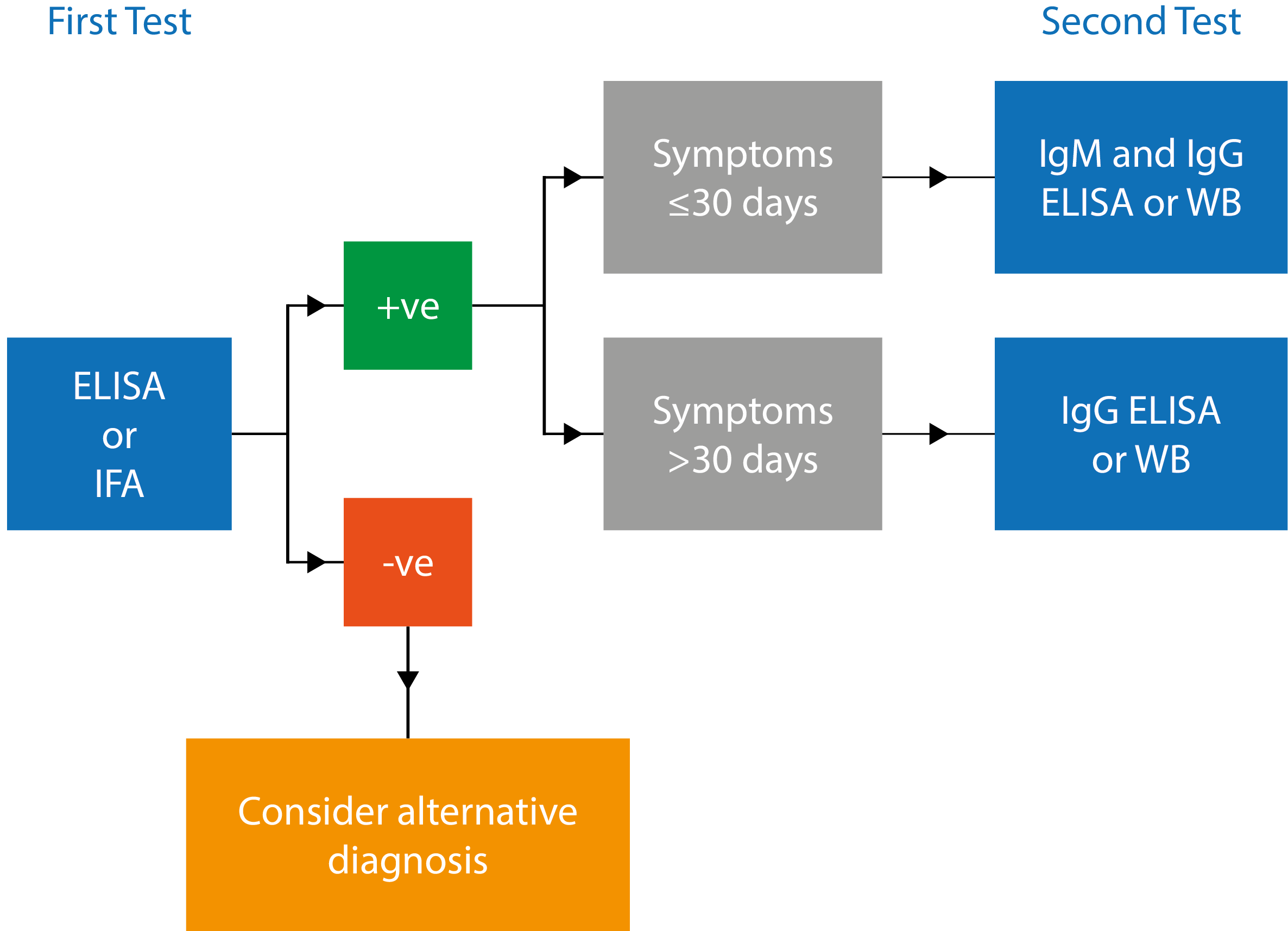 Schematic illustrating 2TT algorithm for diagnosis of Lyme disease