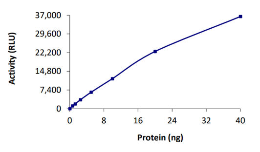 SARS-CoV-2 PLpro Activity