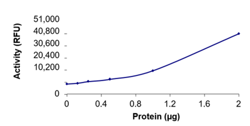 SARS-CoV-2 3CLpro Activity