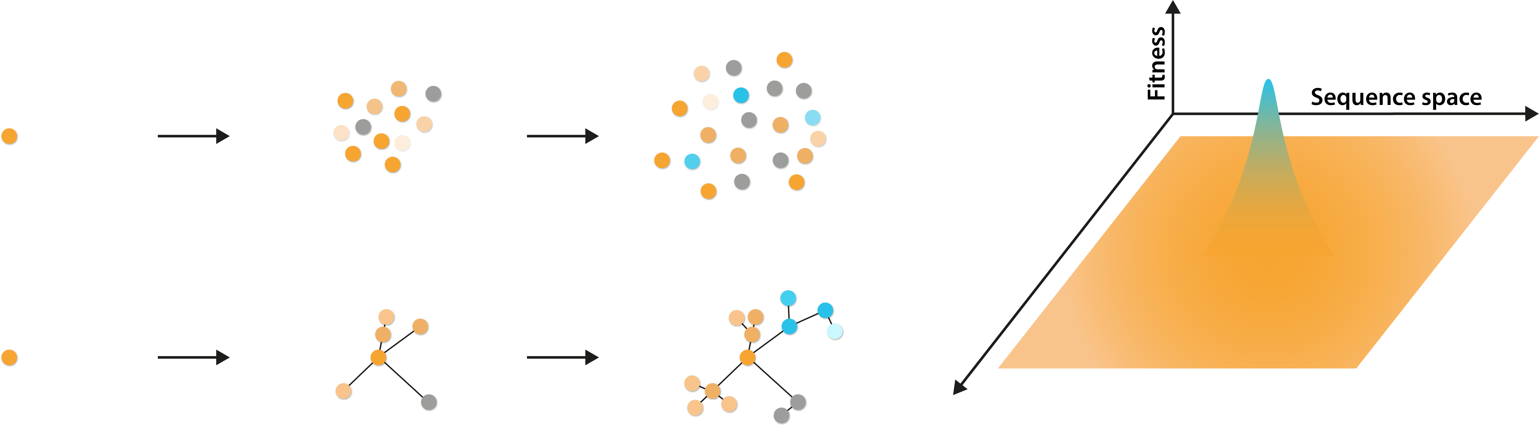 Diagram showing the production of mutant swarm (quasispecies)