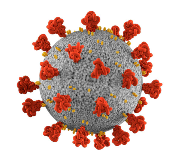 Influenza A H1N1pdm (A/California/07/09)