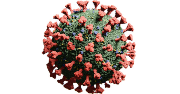 Coronavirus HKU1 Spike (Full-Length) Influenza B/Washington/02/2019 Hemagglutinin