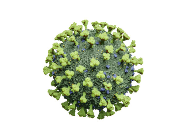 Metapneumovirus 3 Type B1
