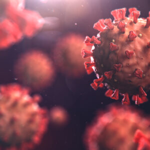 Influenza B [B/Palermo/4/2013] Hemagglutinin Parainfluenza Virus Type 4A