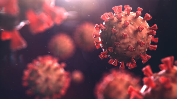 Influenza B [B/Palermo/4/2013] Hemagglutinin Parainfluenza Virus Type 4A