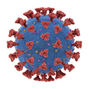 Coronavirus OC43 full-length Spike
