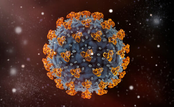 Human coronavirus OC43 spike Metapneumovirus 4 Type B2