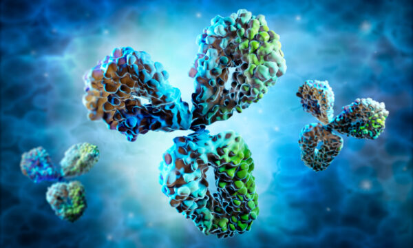 Mouse Anti Hepatitis E Virus Capsid (ORF2) Antibody (EB2)