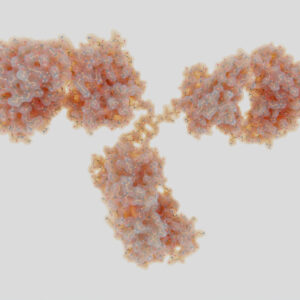 porcine coronavirus antibody 5B4