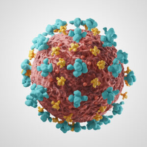 Human coronavirus OC43 nucleoprotein