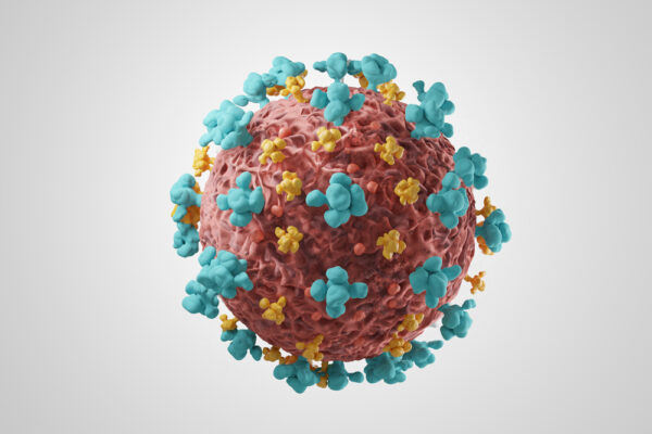 Human coronavirus OC43 nucleoprotein