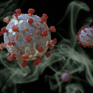 Human coronavirus NL63 spike