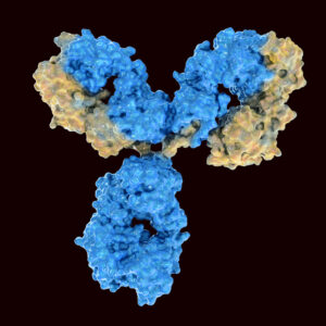 Mouse Anti Powassan Virus NS1 Antibody (M955)