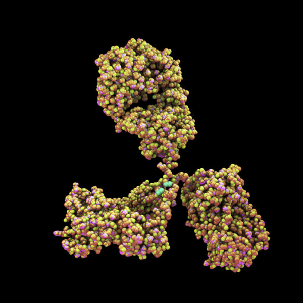 Human IgG1 Anti-Zika Virus NS1 Antibody