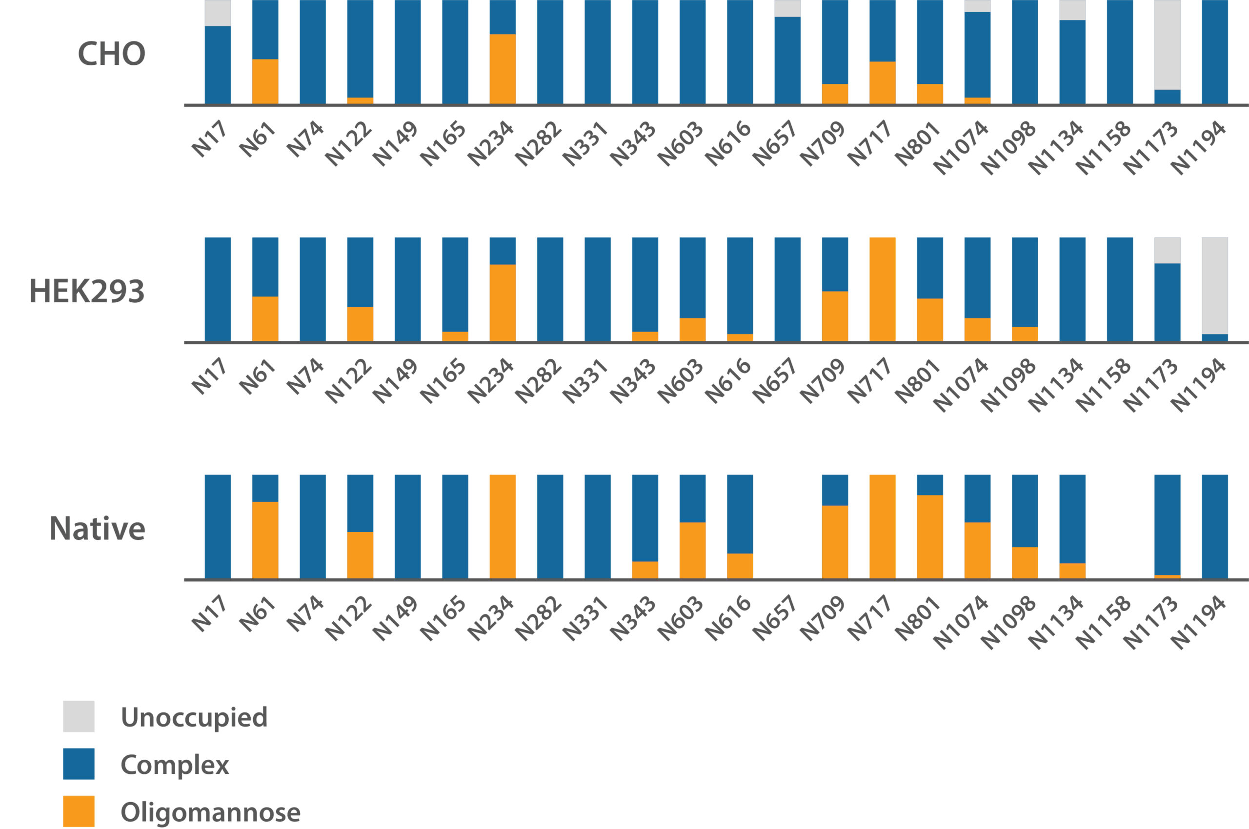 CHO vs. HEK293 Spike Glycosylation Patterns