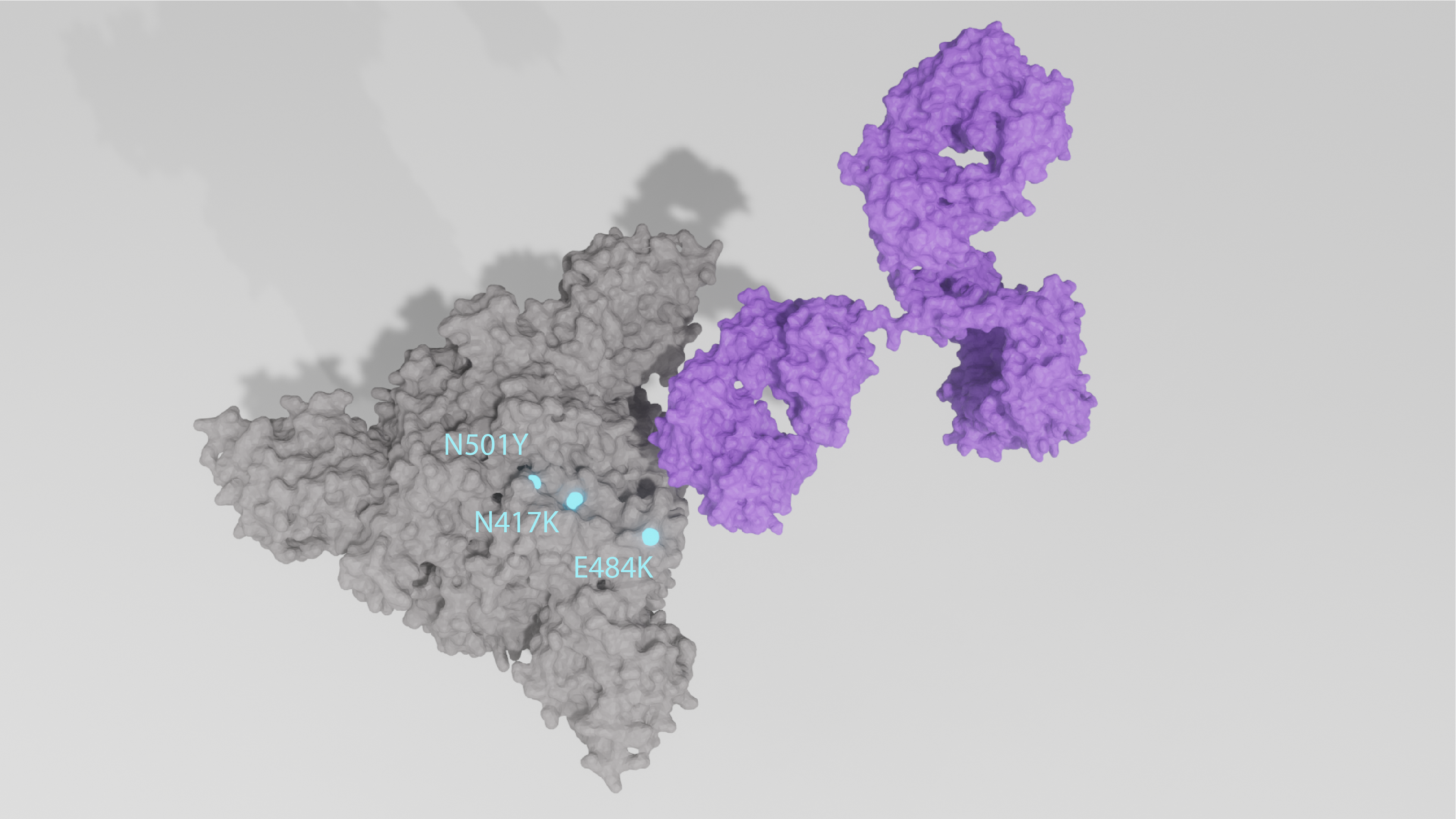 N417K, E484K and N501Y Mutations