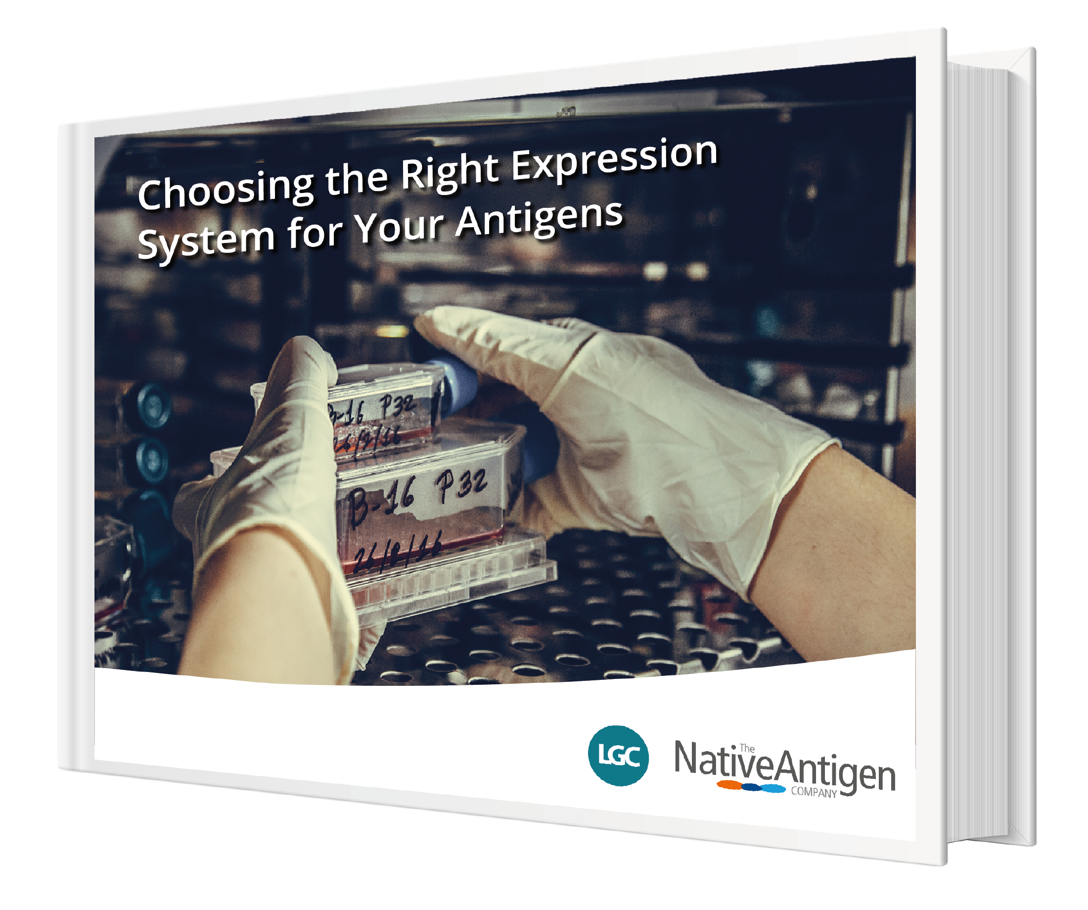 Choosing the Right Expression System for Your Antigens