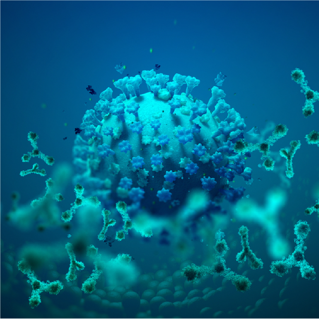 The Native Antigen Company