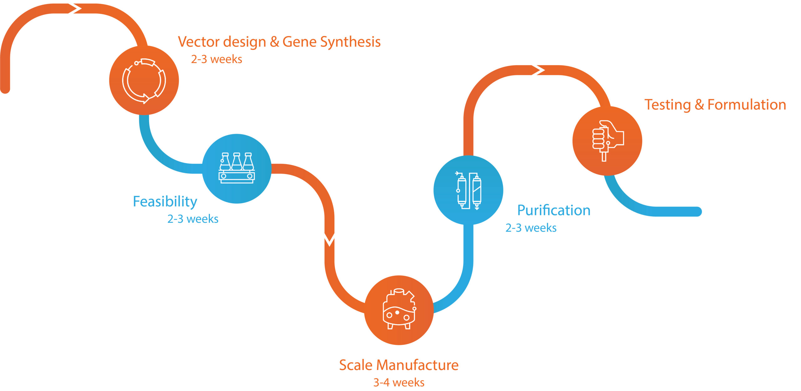 Bulk Protein Production Workflow