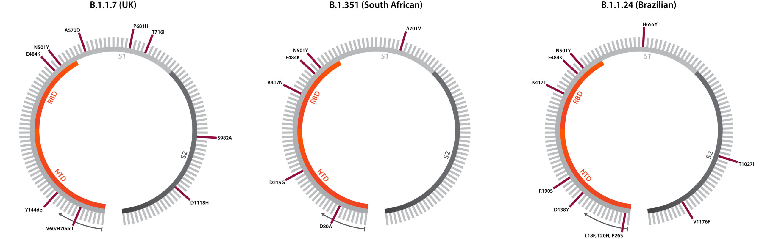 Mutant Genome Maps [Burgundy-Orange]