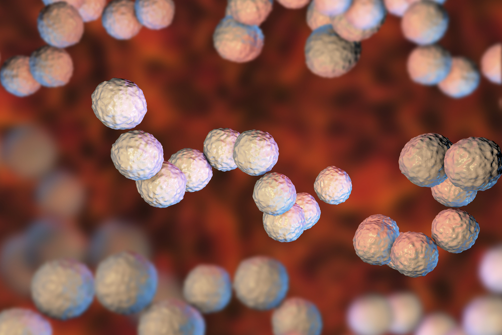 Streptococcus Agalactiae Heat Inactivated The Native Antigen Company