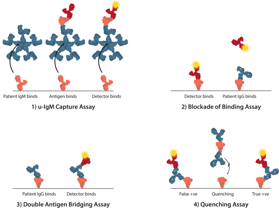 The Continued Challenges of Flavivirus Serology The Native Antigen