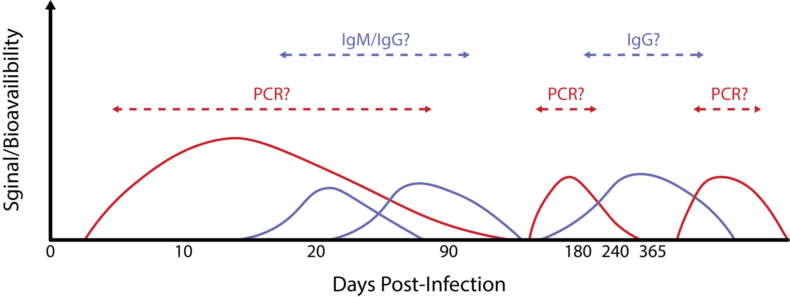 Figure 5. Hypothetical scheme of PCR/antibody detection windows for chronic tick-borne disease.