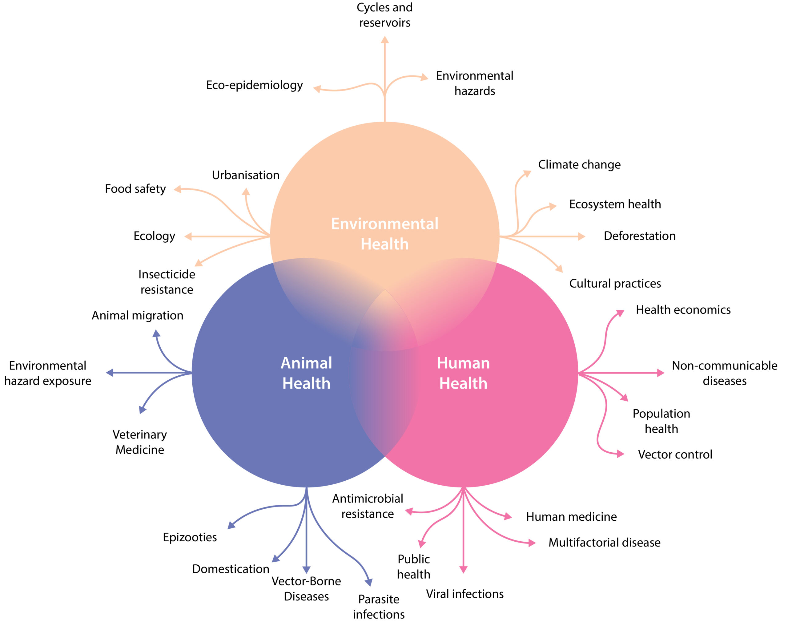 Figure 3. One Health scheme. Reproduced from Malliaraki, 20209