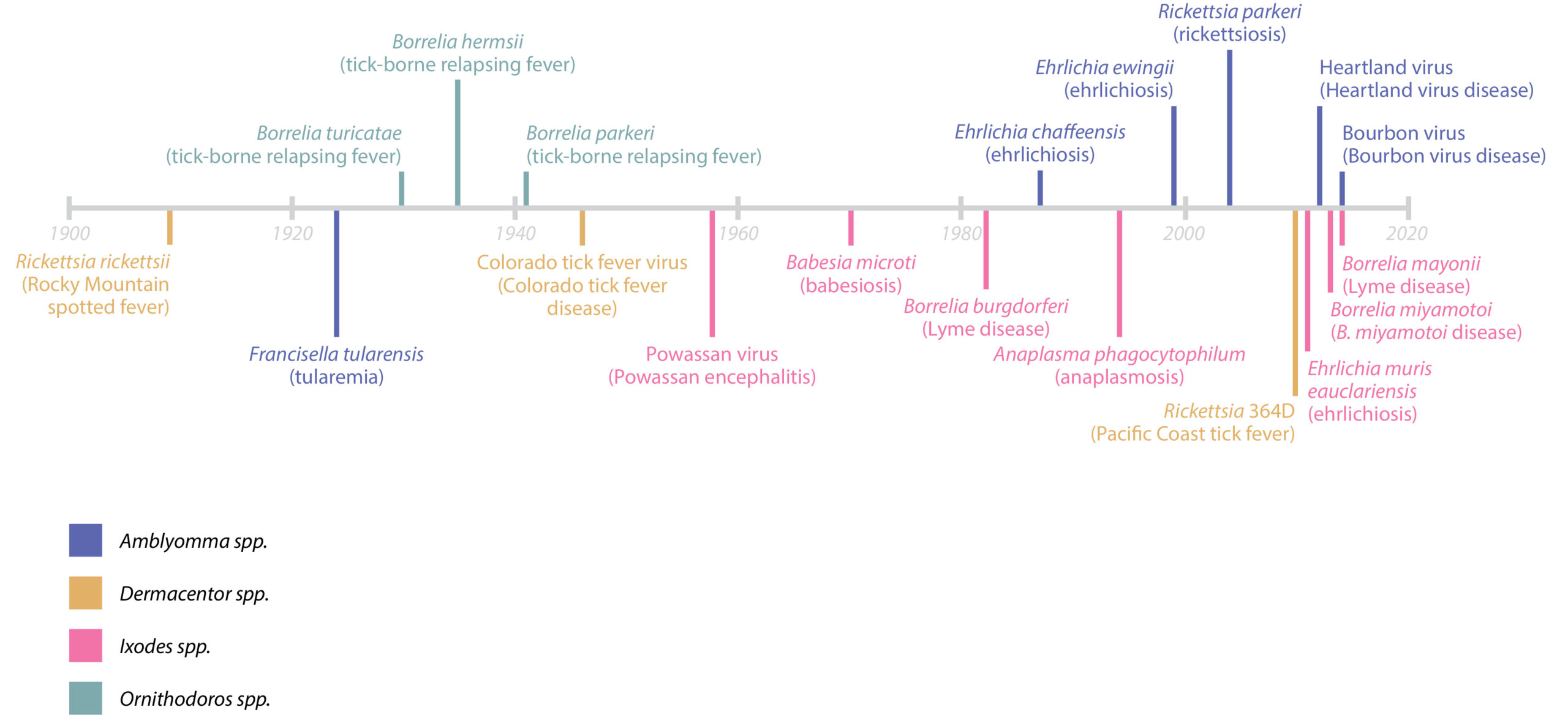 Figure 2. Timeline of discovery. Adapted from Eisen and Paddock4