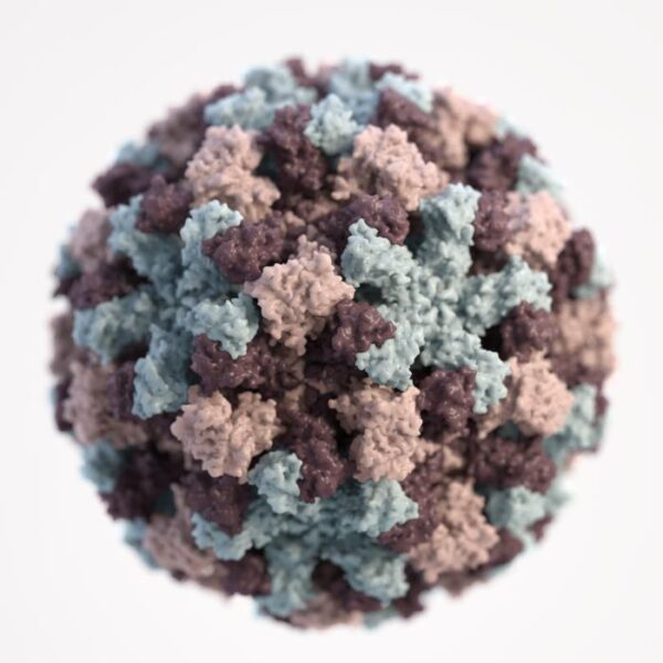 Norovirus GII.17 VLP